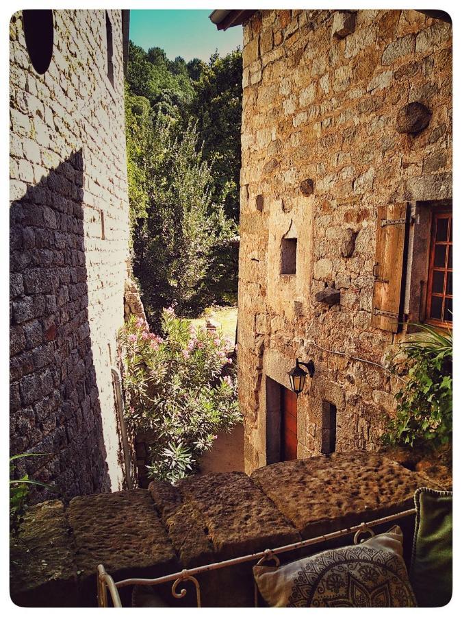 Oracines Du Calme Maison Helianthy Sanilhac  Luaran gambar