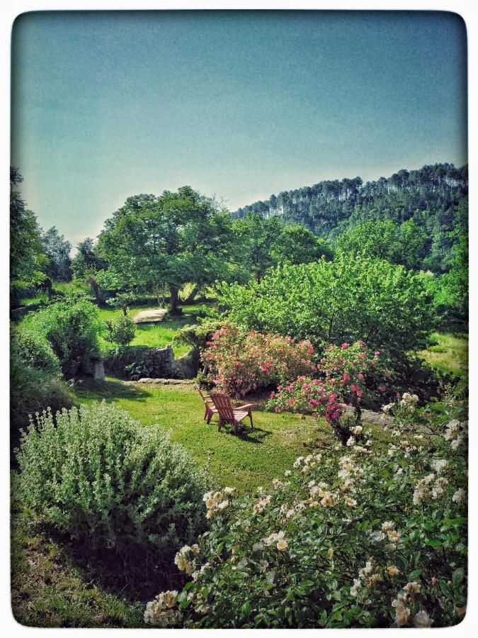 Oracines Du Calme Maison Helianthy Sanilhac  Luaran gambar